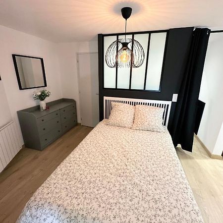 Sacre Appartement/Jardin/Parking/Wifi Rodez Eksteriør bilde