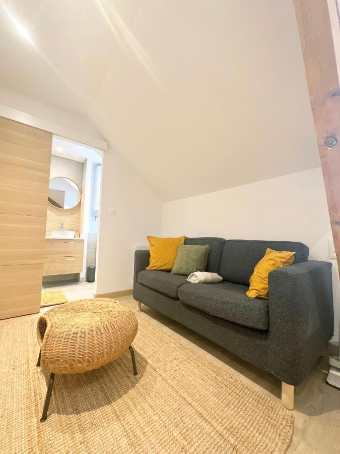 Sacre Appartement/Jardin/Parking/Wifi Rodez Eksteriør bilde