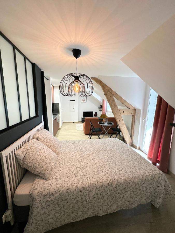 Sacre Appartement/Jardin/Parking/Wifi Rodez Eksteriør bilde